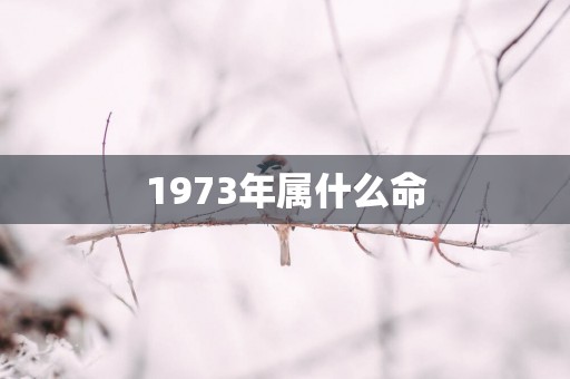 1973年属什么命