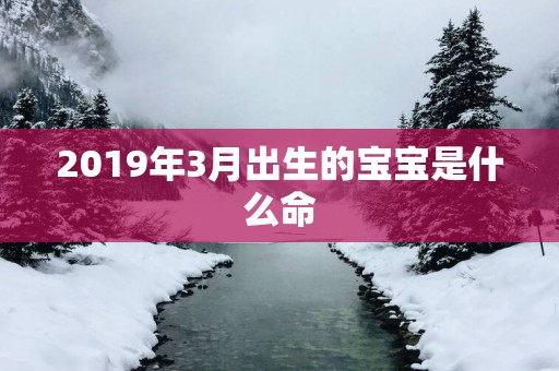 2019年3月出生的宝宝是什么命