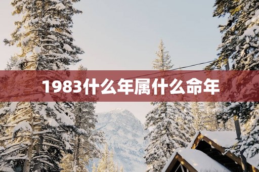 1983什么年属什么命年