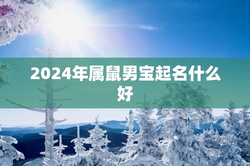 2025年属鼠男宝起名什么好