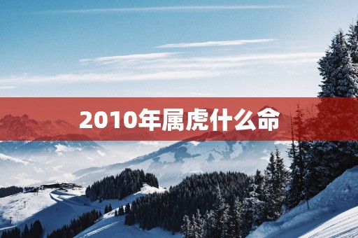 2010年属虎什么命