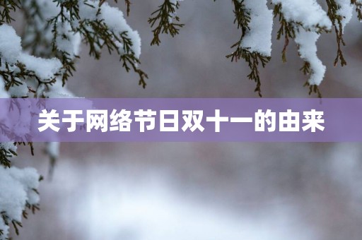 关于网络节日双十一的由来