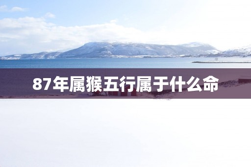 87年属猴五行属于什么命