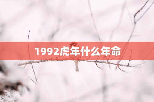 1992蛇年什么年命