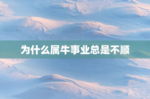 为什么属牛事业总是不顺