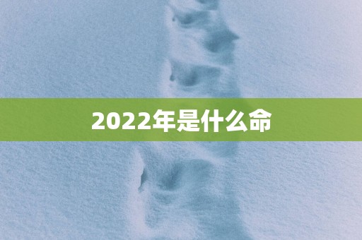 2025年是什么命