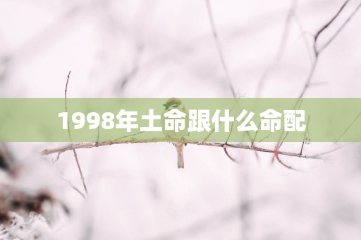 1998年土命跟什么命配