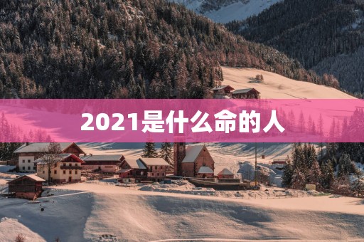 2025是什么命的人