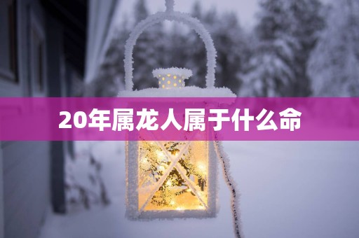 20年属龙人属于什么命