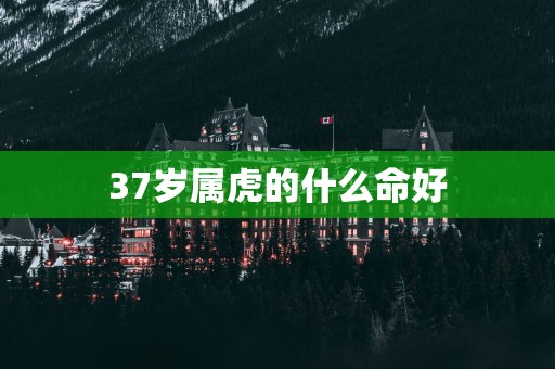 37岁属虎的什么命好