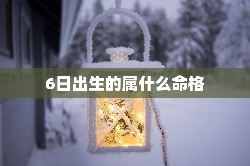 6日出生的属什么命格