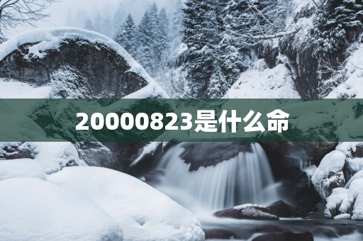20000823是什么命