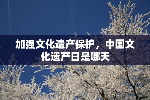 加强文化遗产保护，中国文化遗产日是哪天