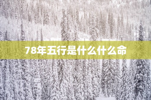 78年五行是什么什么命