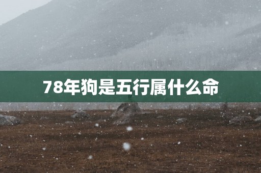 78年狗是五行属什么命