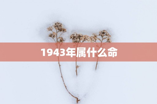 1943年属什么命