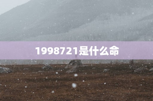 1998721是什么命