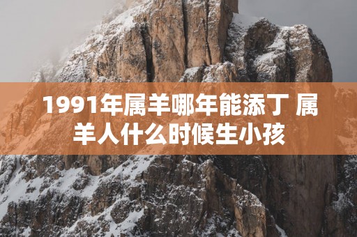 1991年属羊哪年能添丁 属羊人什么时候生小孩