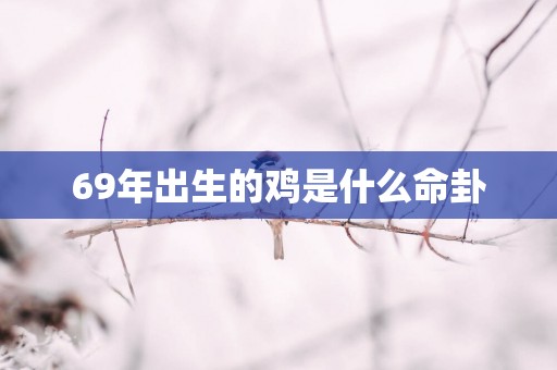 69年出生的鸡是什么命卦