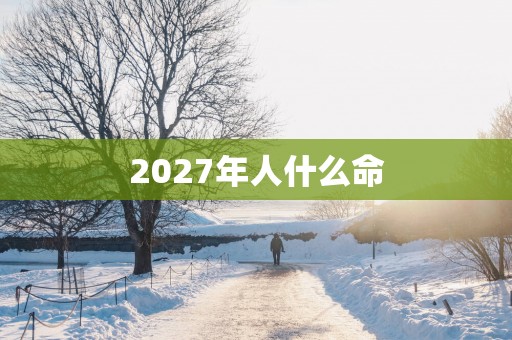 2027年人什么命