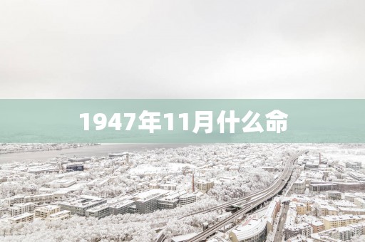1947年11月什么命