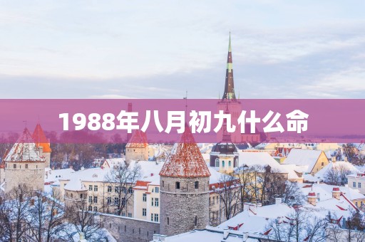 1988年八月初九什么命