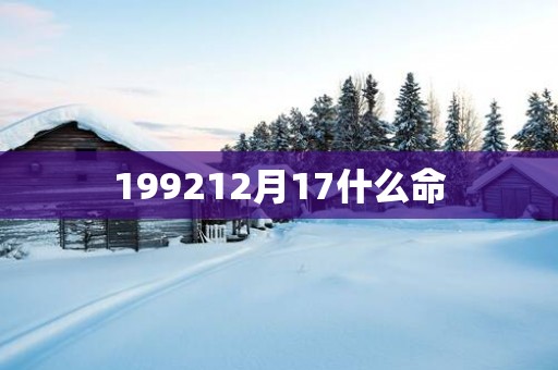199212月17什么命