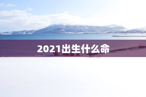2025出生什么命
