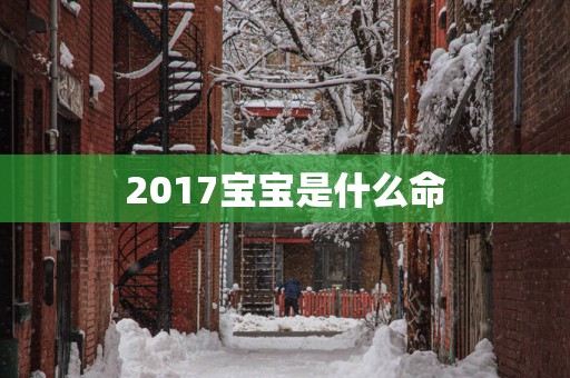2017宝宝是什么命