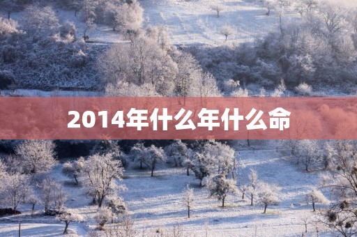 2014年什么年什么命