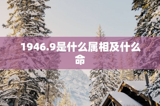 1946.9是什么属相及什么命