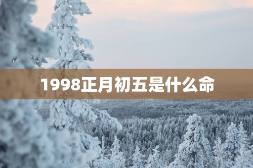 1998正月初五是什么命