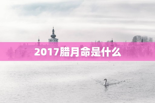 2017腊月命是什么