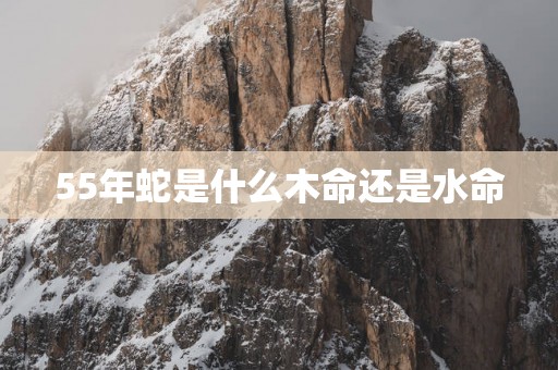 55年蛇是什么木命还是水命