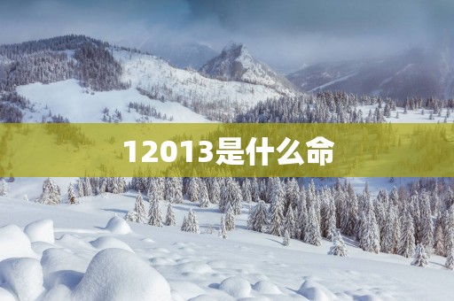 12013是什么命
