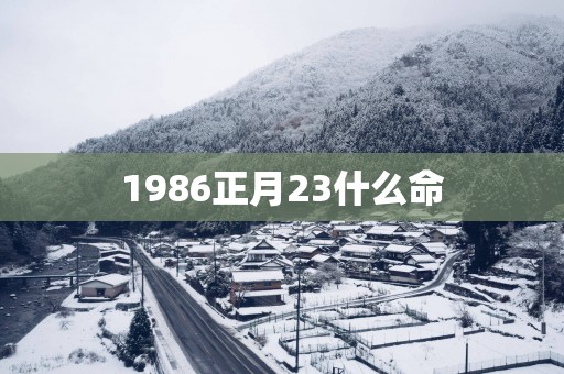 1986正月23什么命