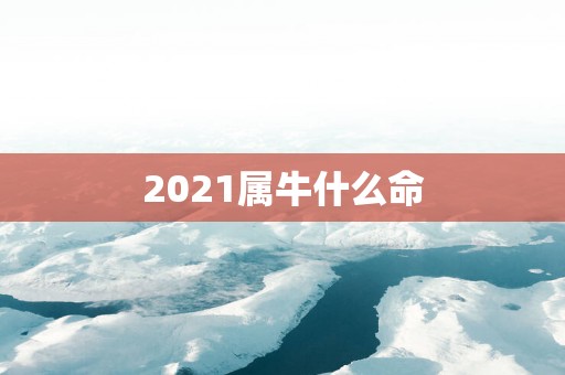 2025属牛什么命