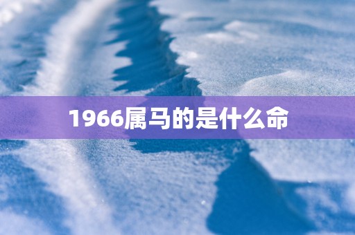 1966属马的是什么命