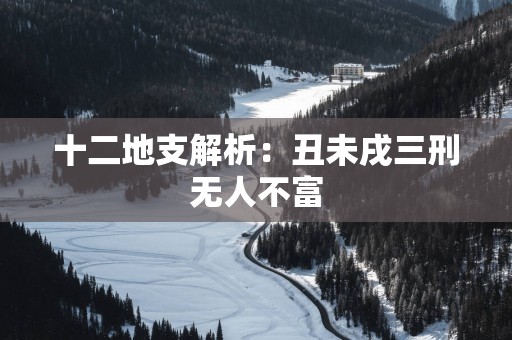 十二地支解析：丑未戌三刑无人不富