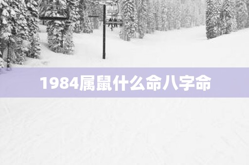 1984属鼠什么命八字命