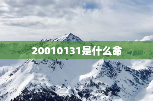 20010131是什么命