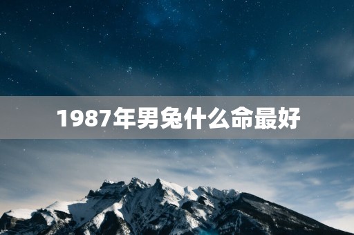 1987年男兔什么命最好