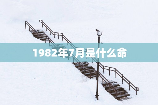 1982年7月是什么命