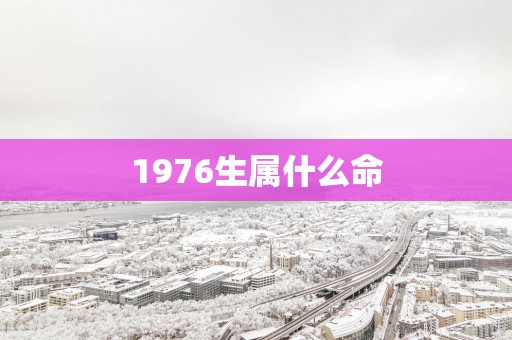 1976生属什么命