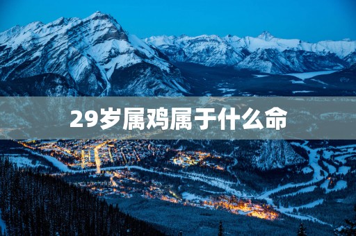 29岁属鸡属于什么命