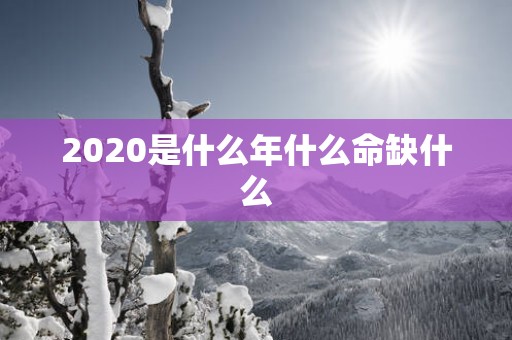 2025是什么年什么命缺什么