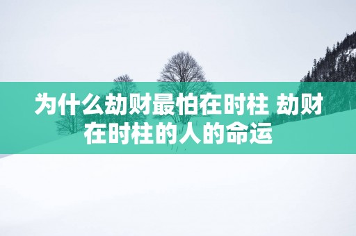 为什么劫财最怕在时柱 劫财在时柱的人的命运