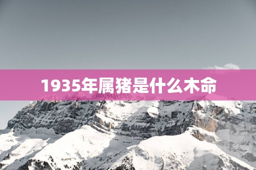 1935年属猪是什么木命
