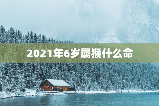 2025年6岁属猴什么命