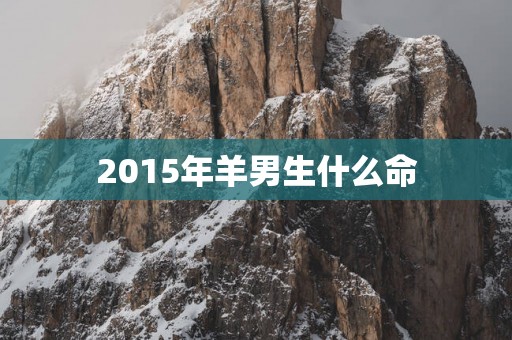 2015年羊男生什么命
